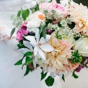 Meet your Posher, Bahidja