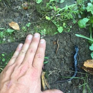 Meet your Posher, Jon