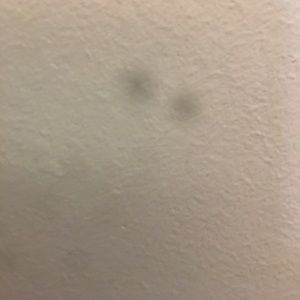 Meet your Posher, Alma