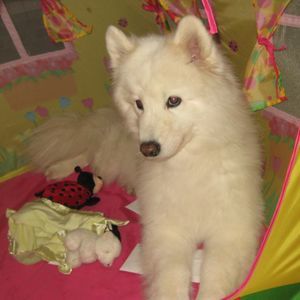 Meet your Posher, Stephanie