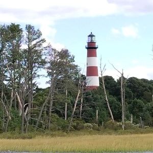 Meet your Posher, Cameron