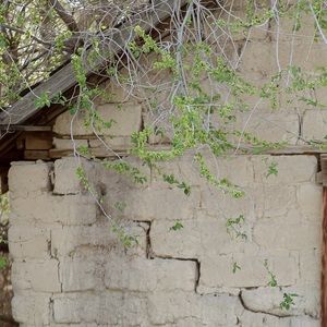 Meet your Posher, Alyson