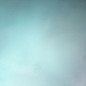 Meet your Posher, Will