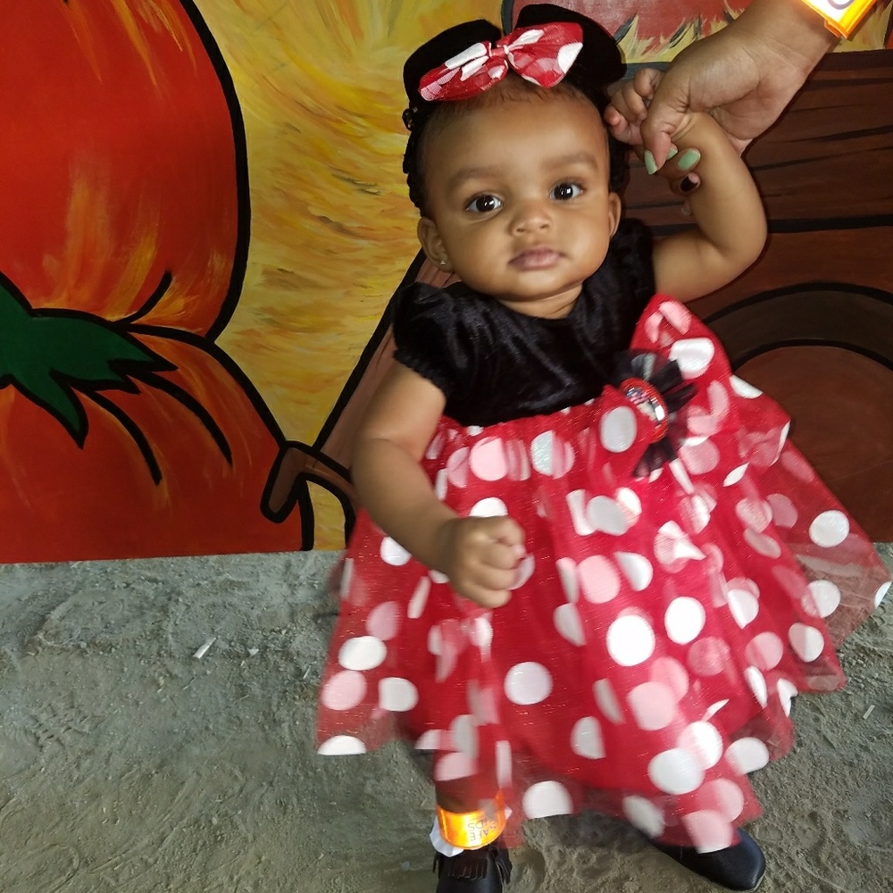 Minnie Mouse Costume 6-12 months