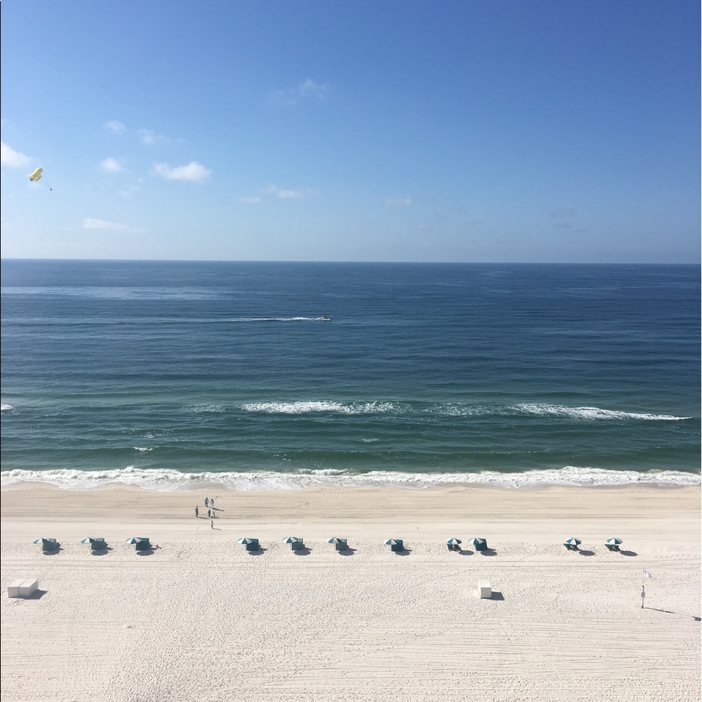 Meet your Posher, Michelle