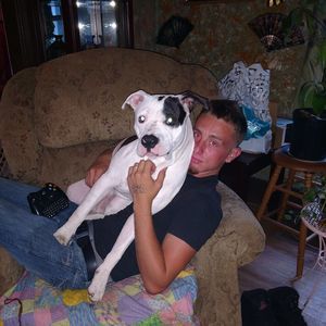 Meet your Posher, Shaun