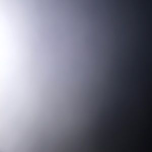 Meet your Posher, Roy