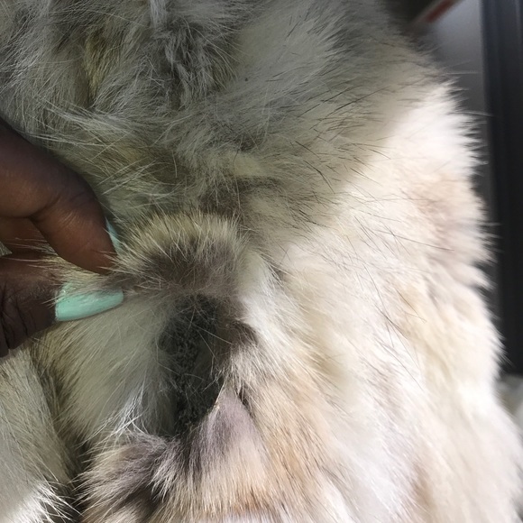 💎ROXI FUR COAT JACKET in VANILLA AND BEAN 💎 - Picture 8 of 8