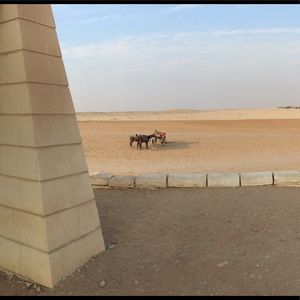 Meet your Posher, Tahani