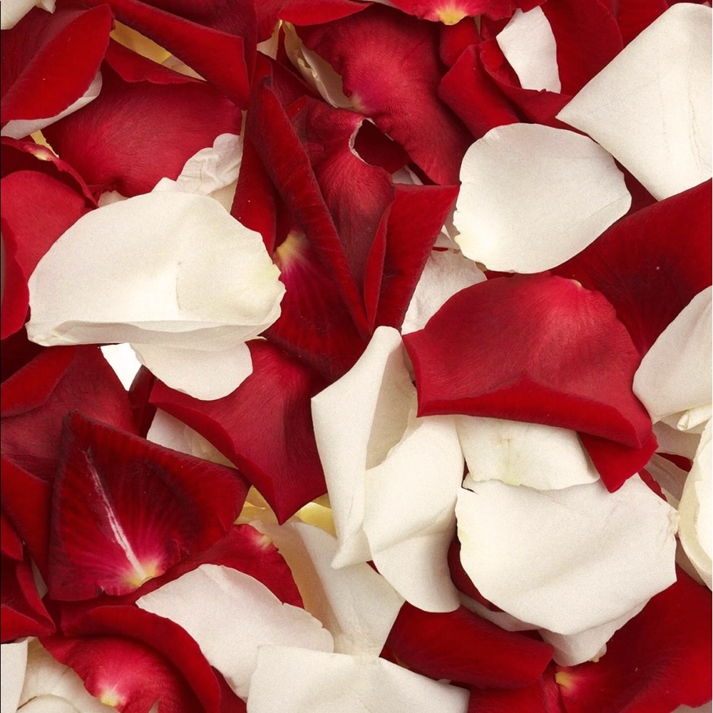 Meet your Posher, Taz