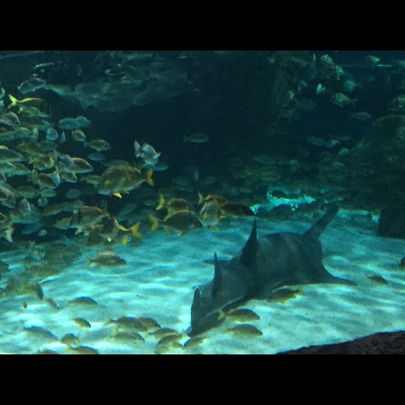 A Little about me - Picture 2 of 2