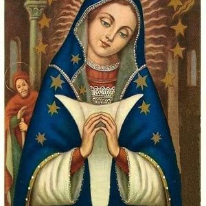 Meet your Posher, Carmen