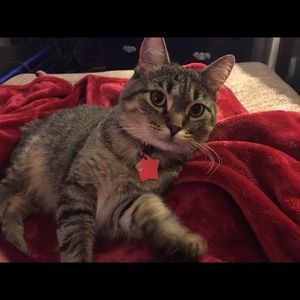 Meet your Posher, Mae