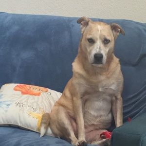 Meet your Posher, Antonio