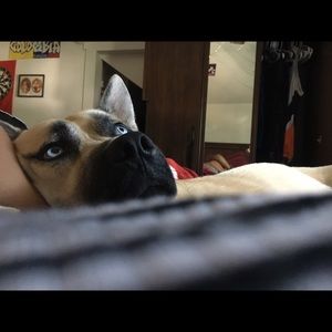 Meet your Posher, Aurora