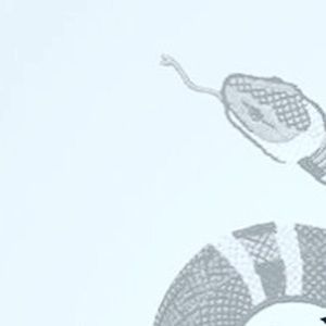 Meet your Posher, Gus