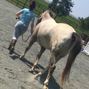 Meet your Posher, Kayla