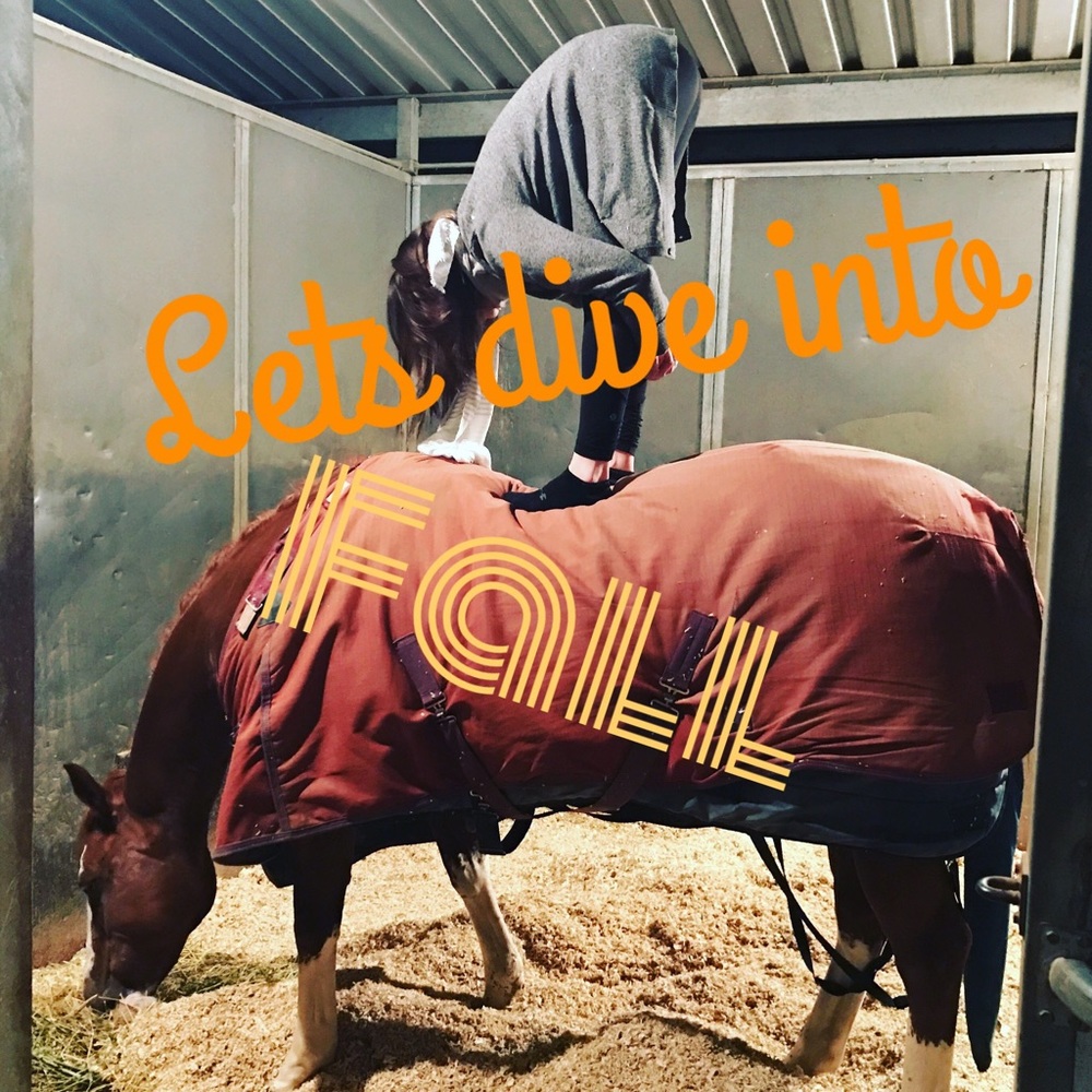 Info for Fall✌🏼