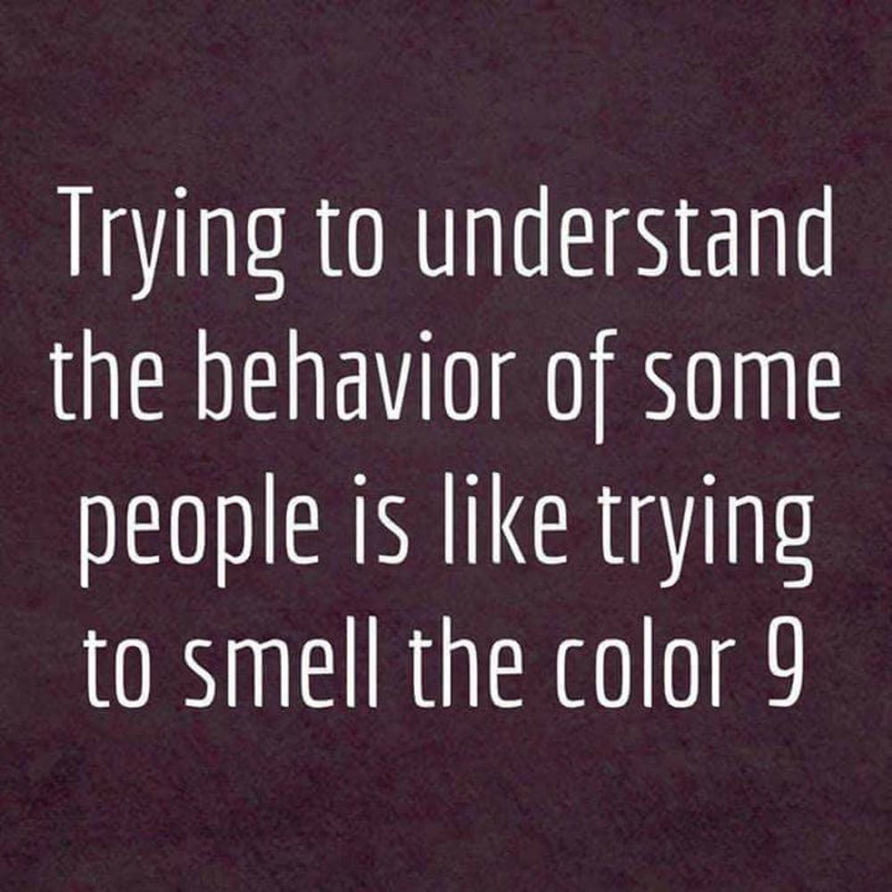 Meet your Posher, Patty