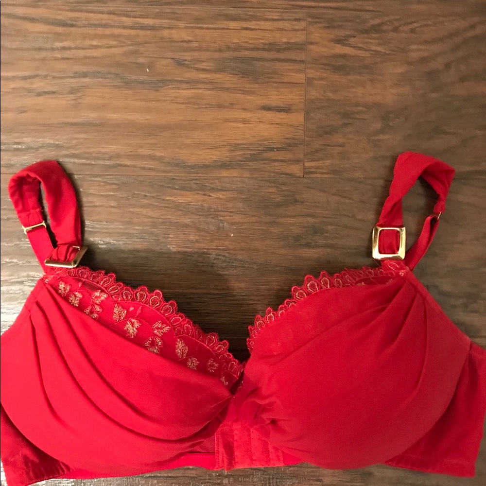 LANE BRYANT Red & Gold Bra