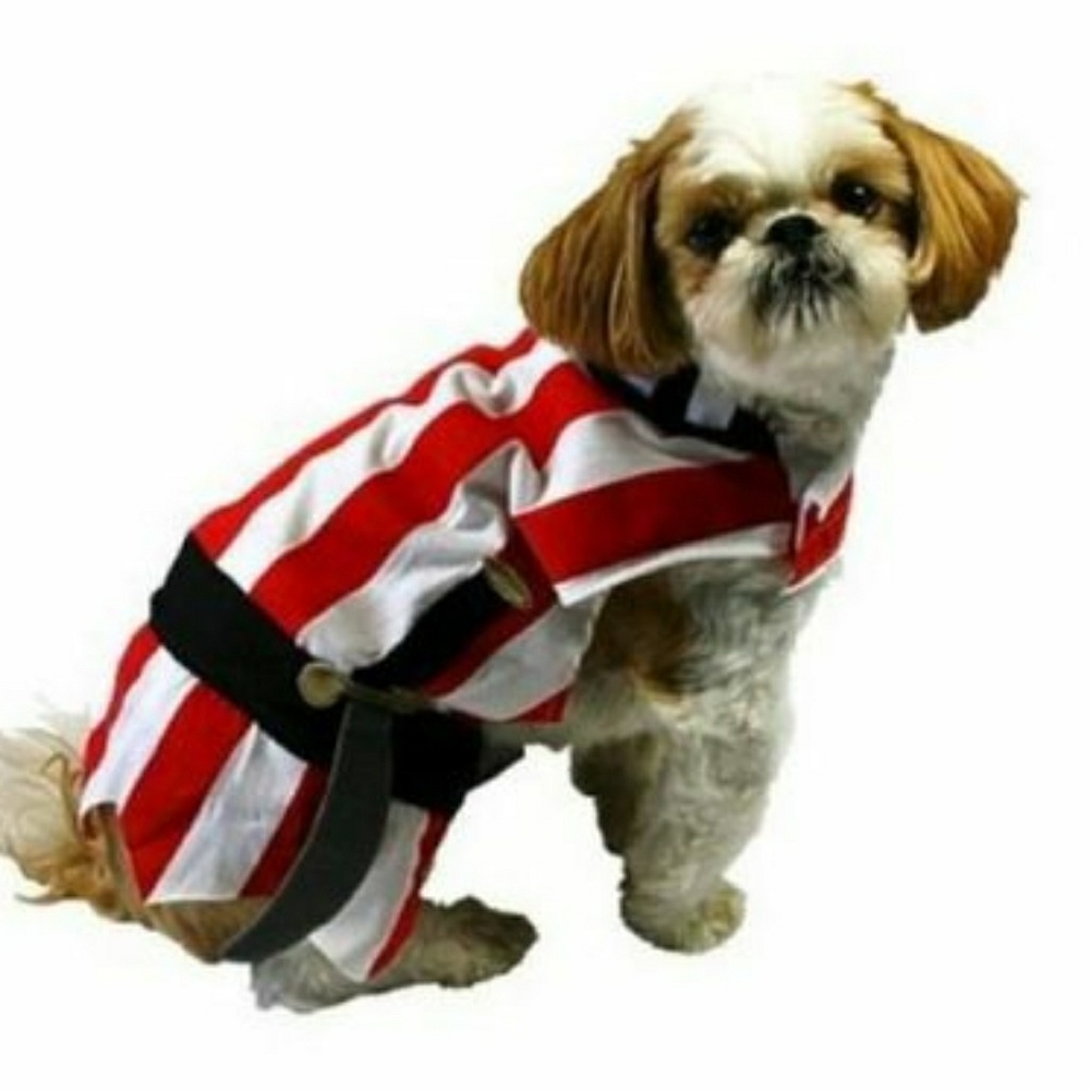 Pirate Dog Costume