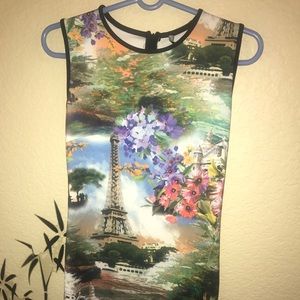 beautiful Paris dress