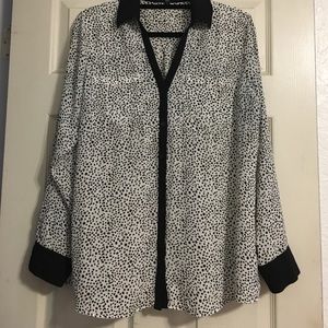 Express Dalmatian Portofino