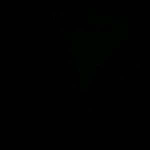 Meet your Posher, Lidia