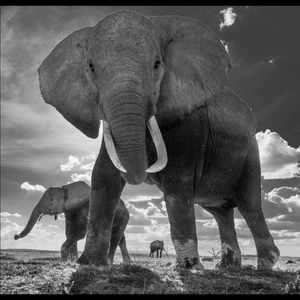 Meet your Posher, Krystal