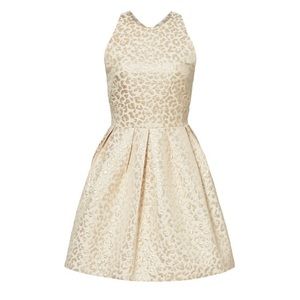 Hutch Gold Leopard Size 6 Dress