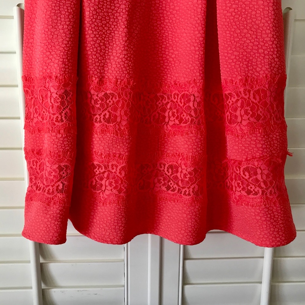 Express Dress - Picture 3 of 4