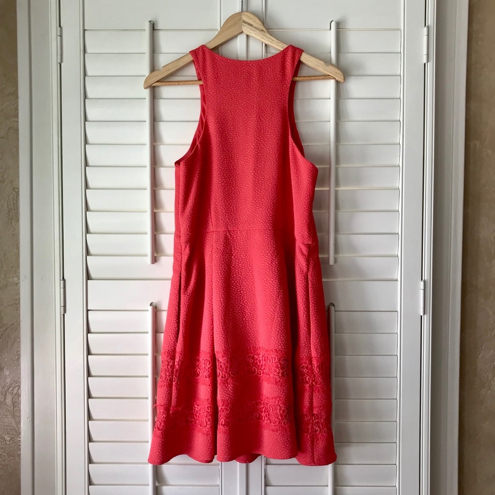 Express Dress - Picture 4 of 4