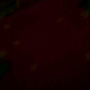 Meet your Posher, Giannah