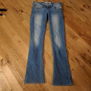Hollister Bootcut