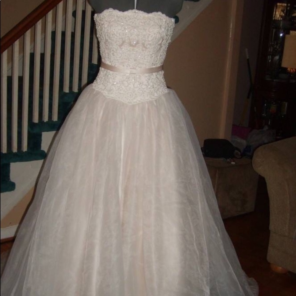 Champagne Wedding Gown