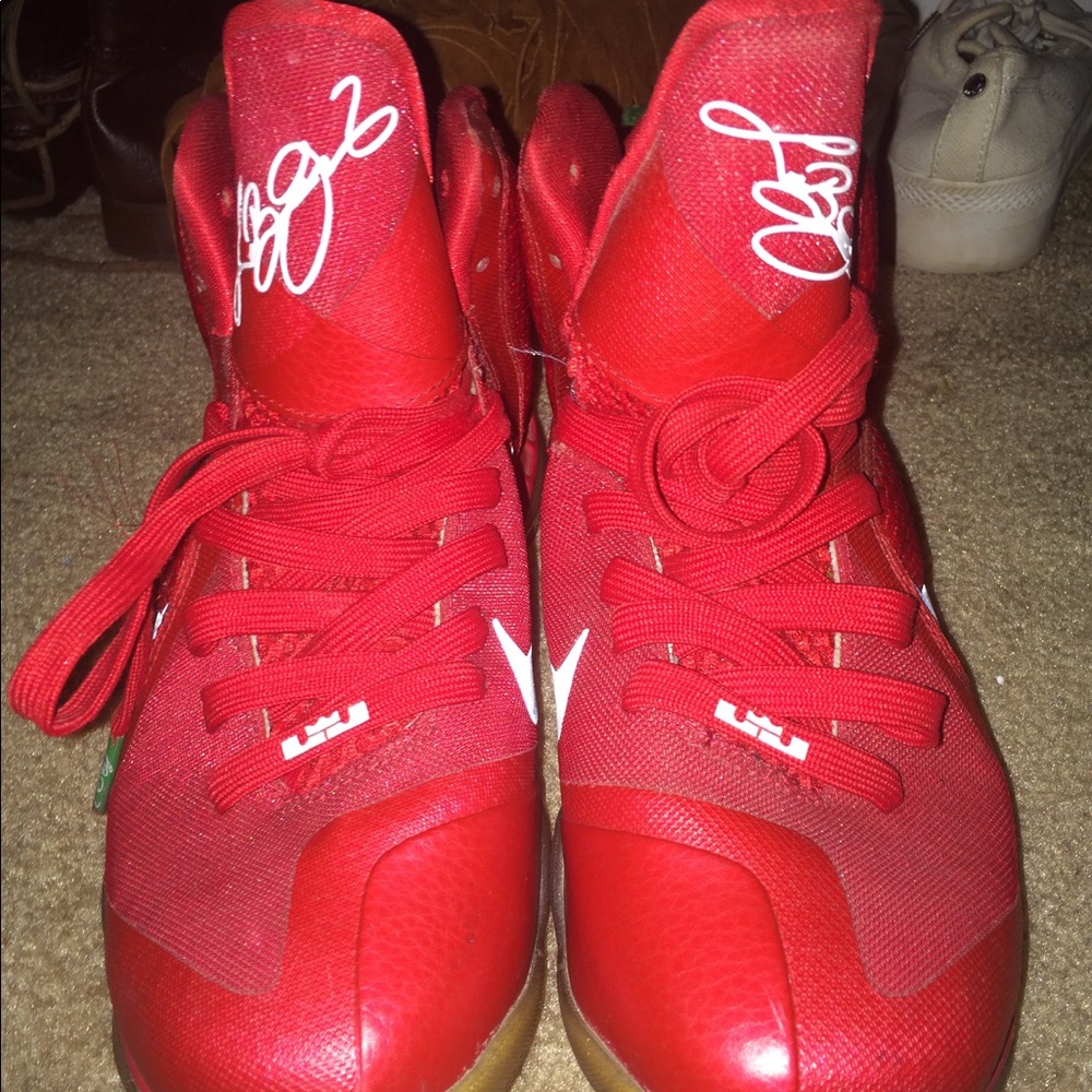 Lebron James 9s