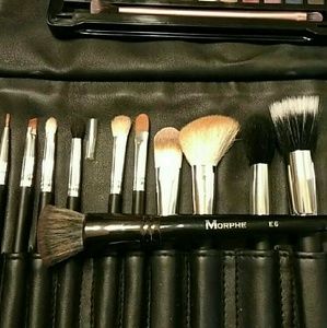 Morphe brushes and beauty creations eyeshadow pale