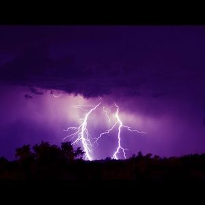 Meet your Posher, Ricky