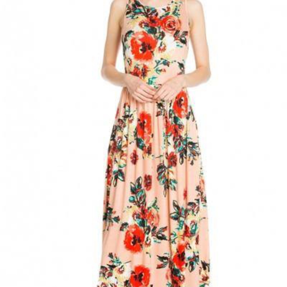 NWOT Blush Rose Floral Maxi Dress
