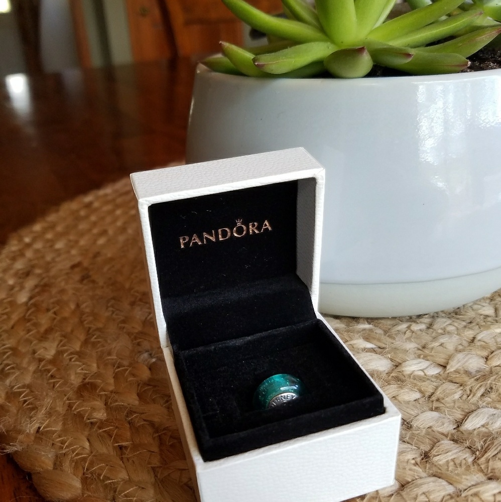 Pandora Disney Jasmine's Signature Color Charm EUC