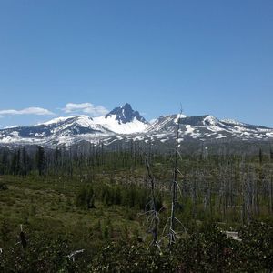 Meet your Posher, Millie