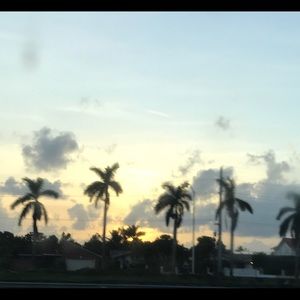 Meet your Posher, Luz