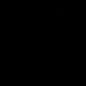 Meet your Posher, Terrell