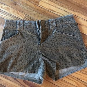 BDG (Urban Outfitters) Velvet Shorts