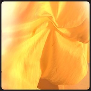 Little girls flower dress