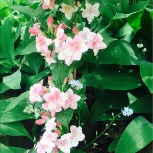 Meet your Posher, Mel