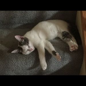 Meet your Posher, Audrey