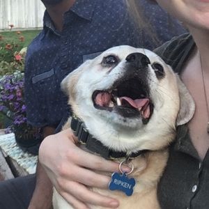 Meet your Posher, Zoe