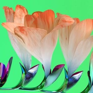 Meet your Posher, Sokhun