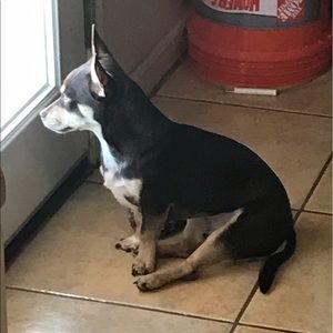 Meet your Posher, Xavier